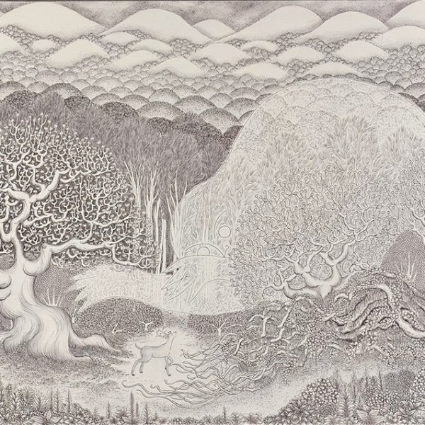 52回展「昔むかしの森」