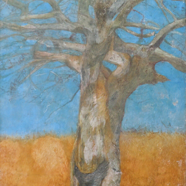 古川 清右 （故人・元代表）